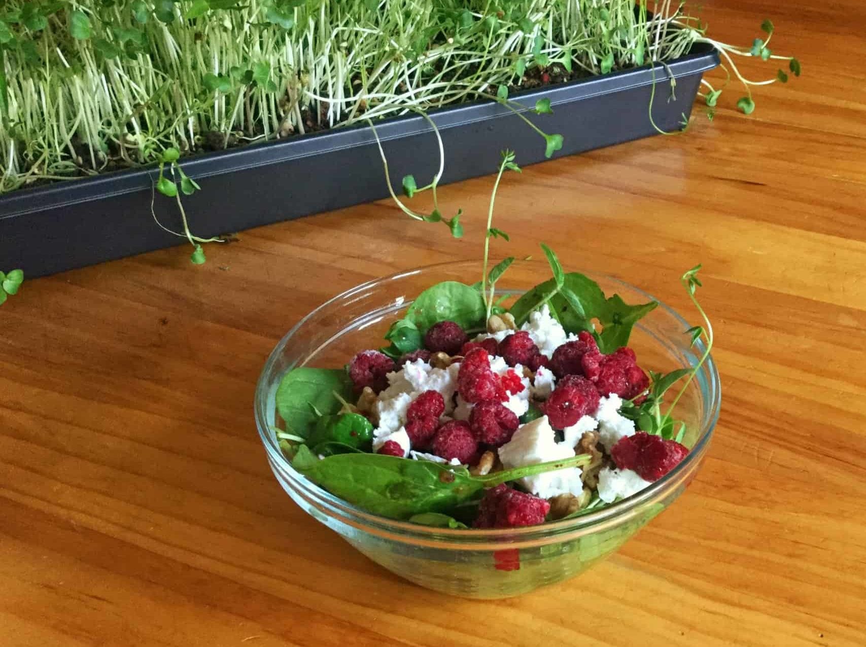 Microgreens are easy to grow indoors year round and add to salads and sandwiches. Microgreens and salad