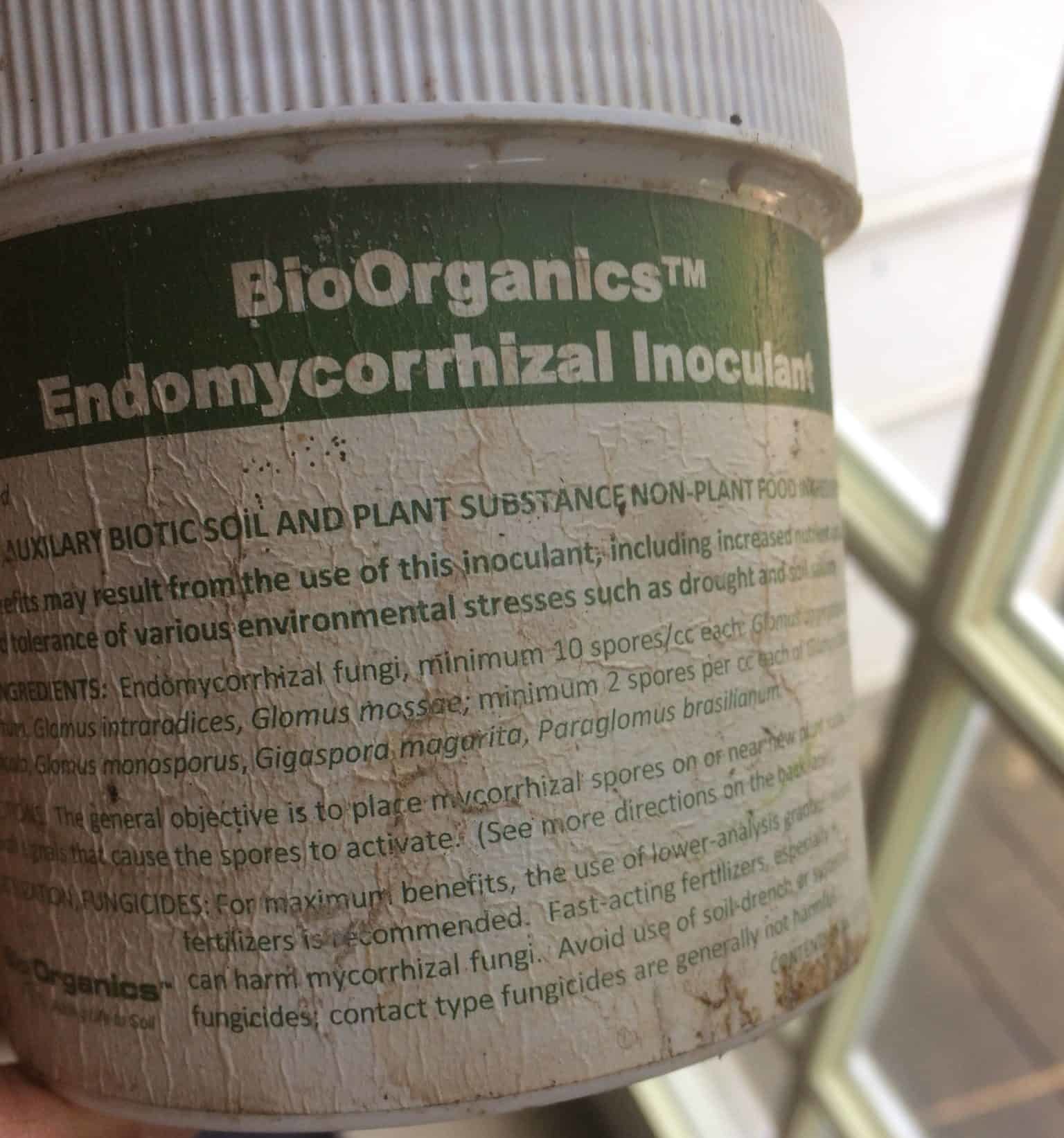 Compost, mycorrhizal fungi and egg shells are additives that can improve your soil quality. Mycorrhizal Fungi