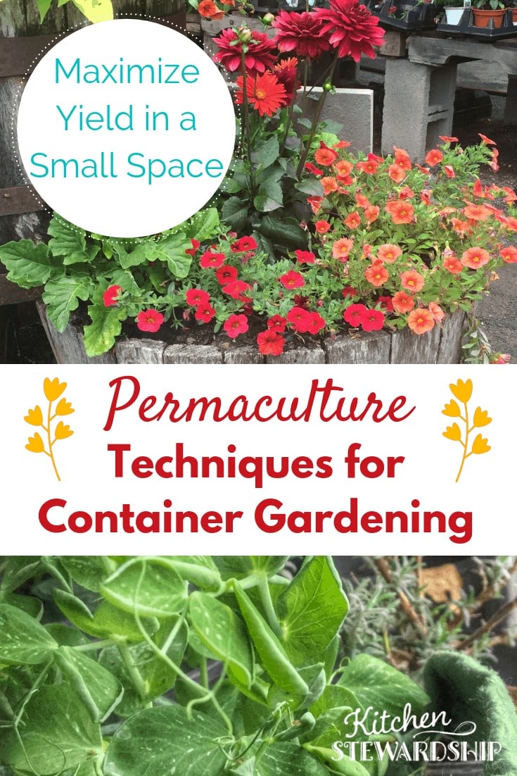 Grow your own organic produce right on your deck or patio! Permaculture Techniques for Container Gardening