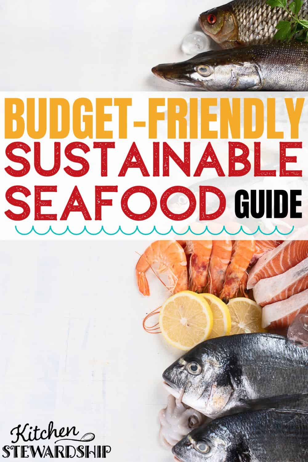 Sustainable fish can be more expensive but you just need to know which types to look for to keep it in budget. Budget-friendly sustainable seafood guide