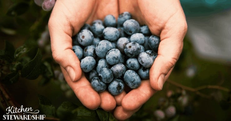 blueberries
