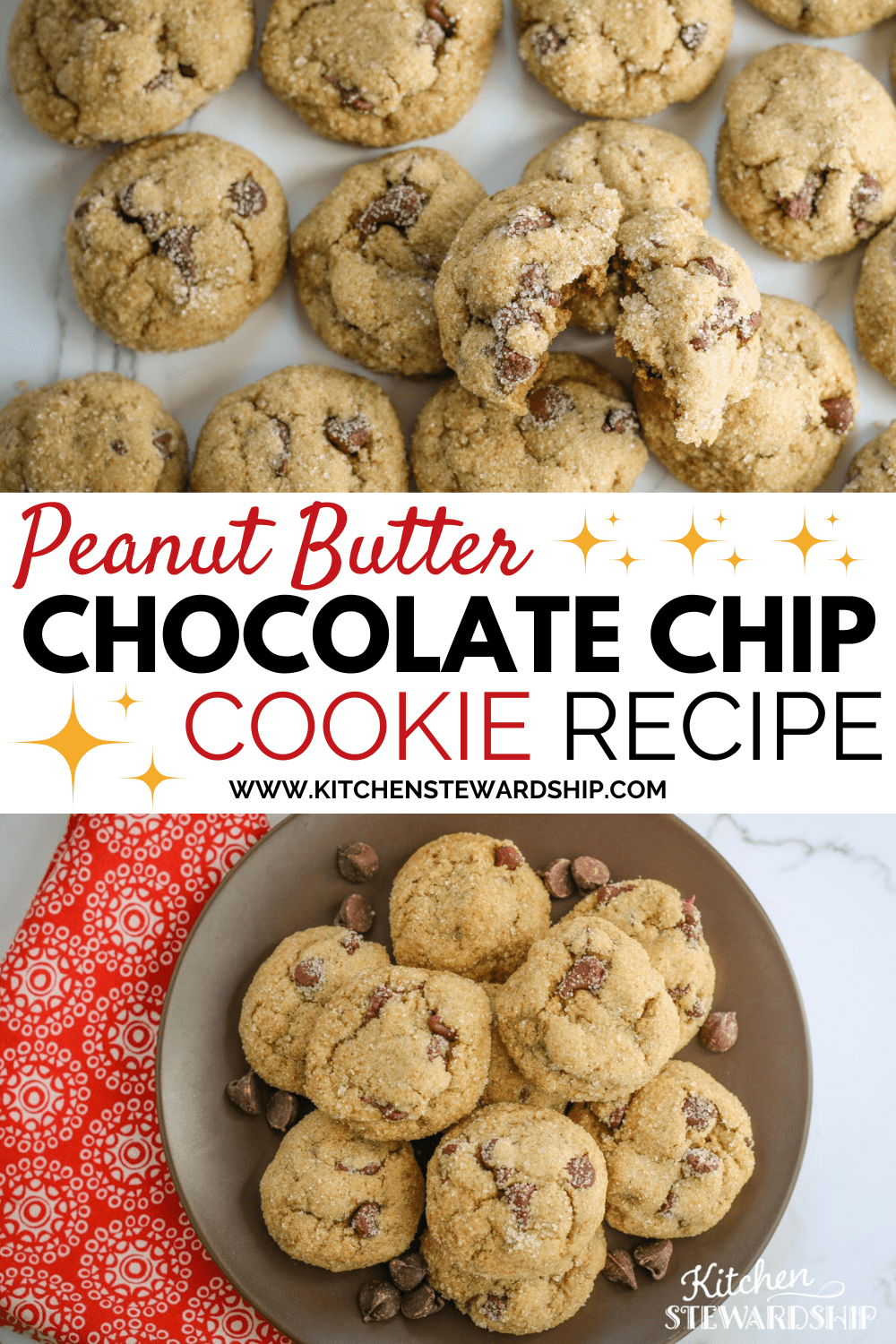 chocolate chip peanut butter cookie recipe