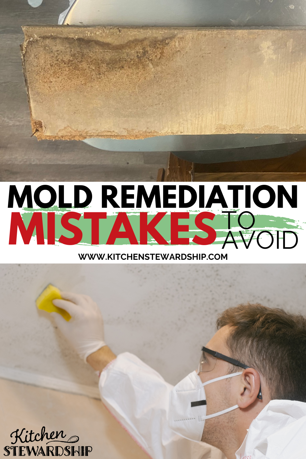 Residential Mold Damage Remediation & Restoration Services