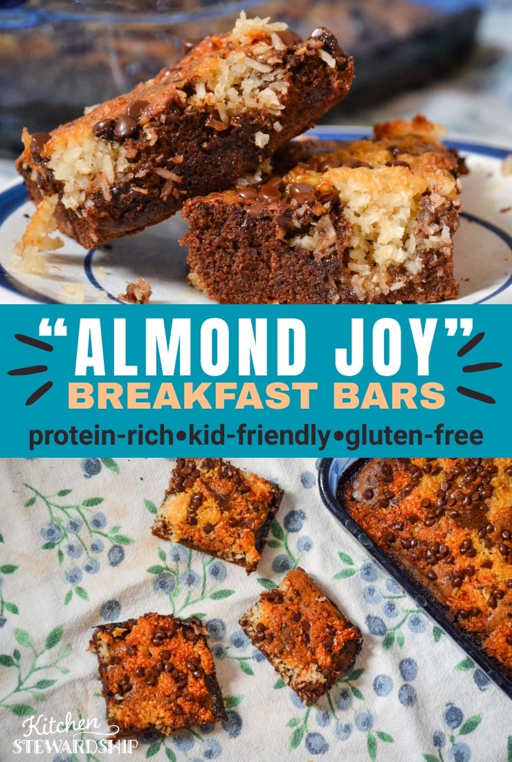 Almond Joy breakfast bars