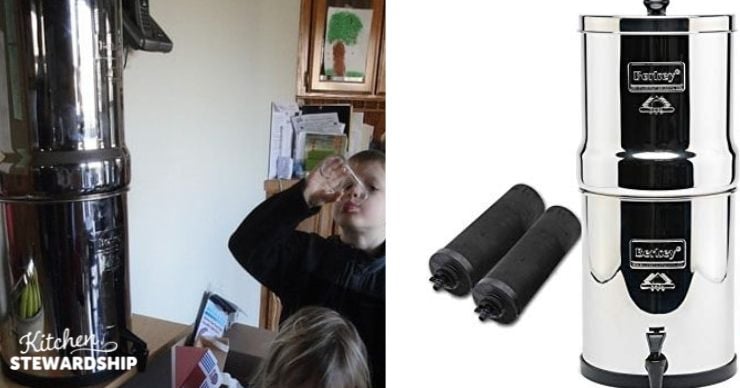 Berkey filter